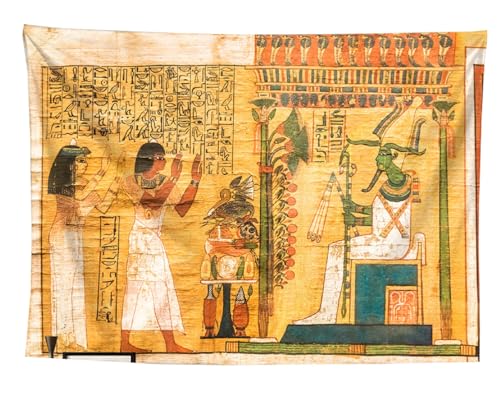 izielad ägyptische Wandteppiche Alte ägyptische Zivilisation Pharao König Hieroglyphische Vintage Alte Kultur Wandbehang für Schlafzimmer Wohnzimmer Wohnheim Dekor 150X230CM 59X90.5IN von izielad