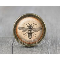 Biene Glas Cabochon Bronze Möbel Knauf/Kabinett von jade4wood