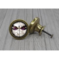 Libelle Glas Cabochon Bronze Möbel Knauf/Kabinett von jade4wood