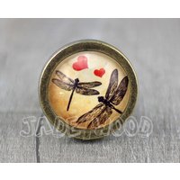 Libelle Möbelknauf Knauf Aus Zink Legierung Mit Glas Illustration von jade4wood