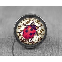 Marienkäfer Glas Cabochon Bronze Möbel Knauf / von jade4wood