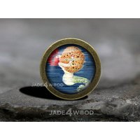 Meerjungfrau Glas Cabochon Bronze Kommode Knäufe Pull/Möbelknöpfe von jade4wood