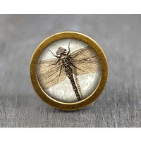 Retro Libelle Glas Cabochon Bronze Schrank Knauf/Möbel von jade4wood