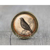 Vogel Glas Cabochon Bronze Möbel Knauf/Kabinett von jade4wood