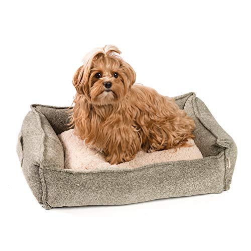 JAMAXX Premium Hundebett Orthopädisch Memory Visco Schaum Waschbar Abnehmbarer Bezug Wasserabweisend - Weiches Sofa Hundekorb Hunde-Körbchen mit Wendekissen / PDB2004 (S) 65x50 Sand von jamaxx-pets