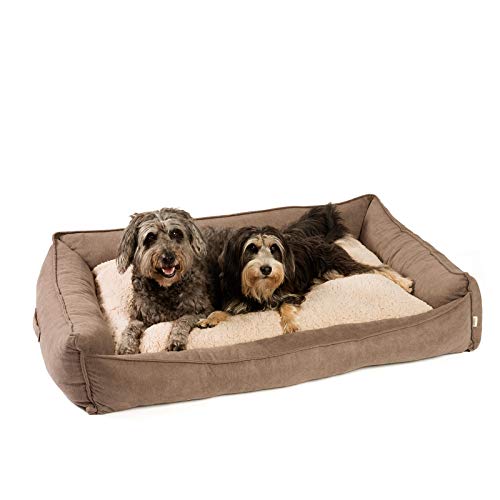 JAMAXX Premium Hundebett Orthopädisch Memory Visco Schaum Waschbar Wendekissen Wasserabweisend/Hundekörbchen Weicher Samtartiger Sofa Stoff Hundekissen Hundekorb PDB2002 (L) 120x90 braun von jamaxx-pets