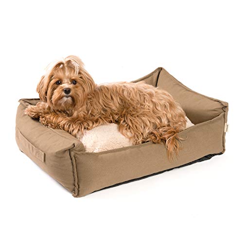 JAMAXX orthopädisches Hundebett - Memory Schaumstoff, Waschbar Wendekissen - Hundekissen mit Lammfell - Hundekorb Hundekörbchen Abnehmbarem Bezug Reissverschluss, PDB2008 (M) 65x50 Coffee-braun von jamaxx-pets