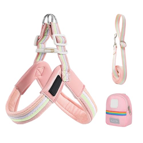 jamgeery Hundegeschirr Und Gurt Set - Verstellbares Geschirr Für Kleine Hunde | Sicherheitsausrüstung Tierzubehör Mit Tasche Für Stadt Park Camping Wandern von jamgeery