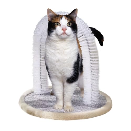 jamgeery Katzen-Selbstpflege, Haustierbogen Selbstpfleger für Katze, bissfestes Kätzchen-Kratzspielzeug, Haustierbedarf für mittelgroße, kleine Kätzchen von jamgeery