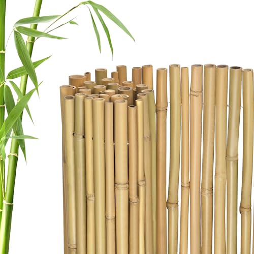jarolift Premium Sichtschutzmatte Bambus, Nachhaltiger Sichtschutz für Balkon Terrasse Garten, Windschutz, Sichtschutzzaun, 140 x 300 cm, Natur von jarolift