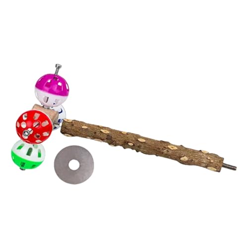 Rotierende Kugel Holz Barch Standpapagei von jebyltd