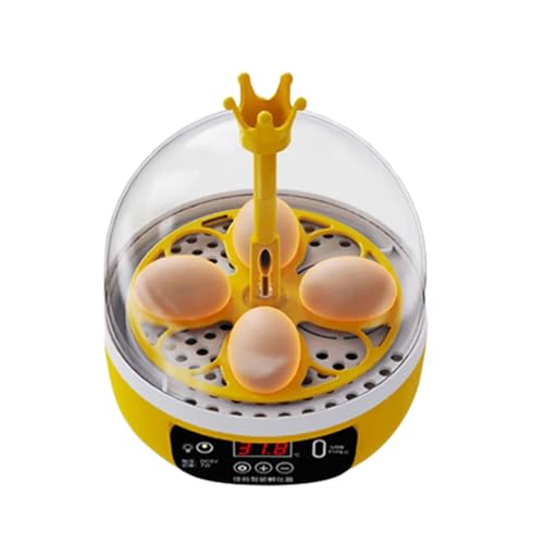 jebyltd Automatische Eier Inkubator Zum Schlüpfen 4 Eier Klare Sichtbarkeit Und Feuchtigkeitskontrolle Ideal Für Die Automatische Temperaturregelung Von Hühnchen Und Enten von jebyltd