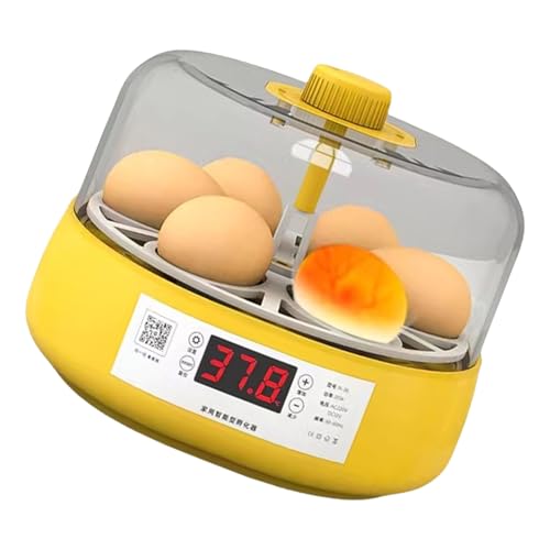 jebyltd Eier Inkubator 6 Kapazität Automatischer Turner Mit Temperaturfeuchtigkeitskontrolle Für Hausschlüpfen Mit LED Display Hähncheneiern Inkubator von jebyltd
