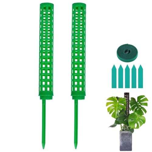 Monstera Rankhilfe, 2 Stück Moosstab für Kletterpflanzen inkl. Klebeband & Etiketten. Pflanzstäbe für Monstera deliciosa, Philodendron. Stabiles Pflanzenstützsystem für Zimmerpflanzen (Grün) von jiejack