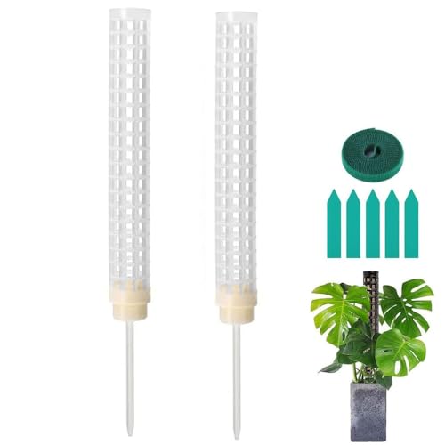 Monstera Rankhilfe, 2 Stück Moosstab für Kletterpflanzen inkl. Klebeband & Etiketten. Pflanzstäbe für Monstera deliciosa, Philodendron. Stabiles Pflanzenstützsystem für Zimmerpflanzen (Weiß) von jiejack