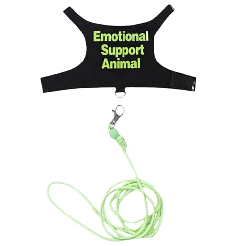 Bequemes Eidechsen-Leinen-Set für Reptilien, Outdoor, mehrfarbig, leichtes Zugseil für Bartagamen und andere Eidechsen, Haustiergeschirr für Kleintiere von jiingekk