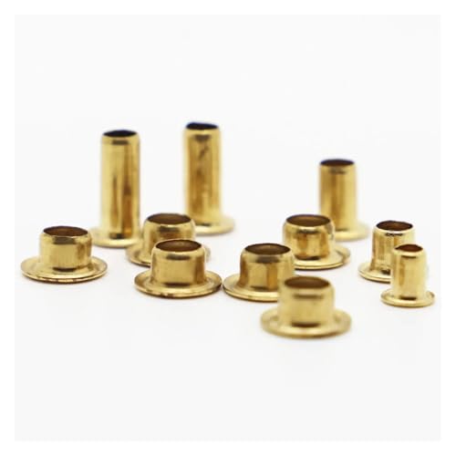 10–100 Stück GB876 M0.9 M1.3 M1.5 M1.7 M2 M2.5 M3 M4 M5 M6 Rohrnieten doppelseitige Leiterplattennägel Kupferhohlniete(3mm,M4 50pcs) von jiuxinyun