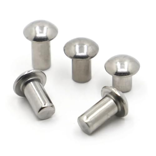 10–50 Stück GB867 304 A2-70 Edelstahl-Knopfniete mit rundem Kopf, M0.8 M1 M1.2 M1.4 M1.6 M2 M2.5 M3 M4 M5, selbststopfende Vollniete(M2.5 50pcs,5mm) von jiuxinyun