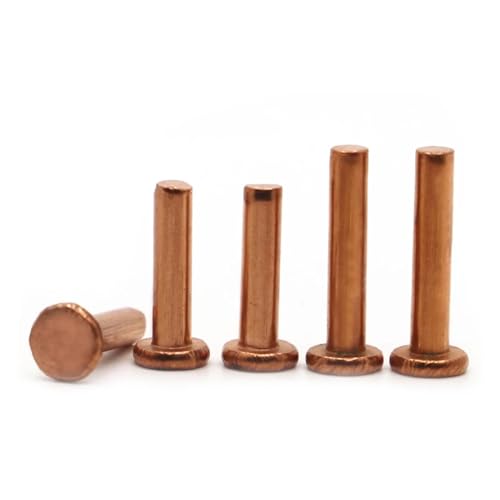 10 Stück M1.5 M2.0 M2.5 M3 M4 M5 M6 M8 Vollnieten aus Kupfer, Flachkopfniete, Flachkopfnieten aus Kupfer, Vollmessingniete GB109(M1.5 50pcs,3mm) von jiuxinyun