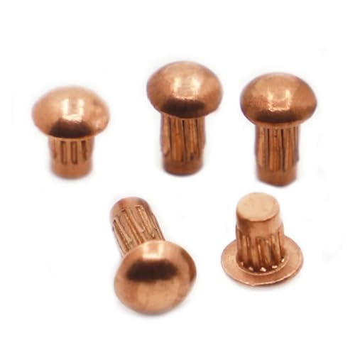 10–50 Stück M2 M2.5 M3 M4 Rändelnieten aus massivem Kupfer for Namensschild GB827(M2.5 50pcs,4mm) von jiuxinyun