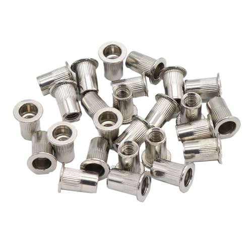 20 Stück Flachkopf-Nietmuttern, Edelstahl, Aluminium, Kohlenstoffstahl, Hohlschrauben, Einsatz for M3, M4, M5, M6, M8, M10, M12(20pcs stainless,M10) von jiuxinyun
