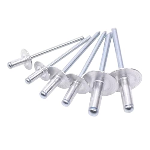 30 oder 50 Stück Blindnieten mit breitem Kopf, Aluminium, Ziehdekoration, Popnagel, Aluminiumnieten (30 Stück, 4 x 20 x 12 mm) von jiuxinyun