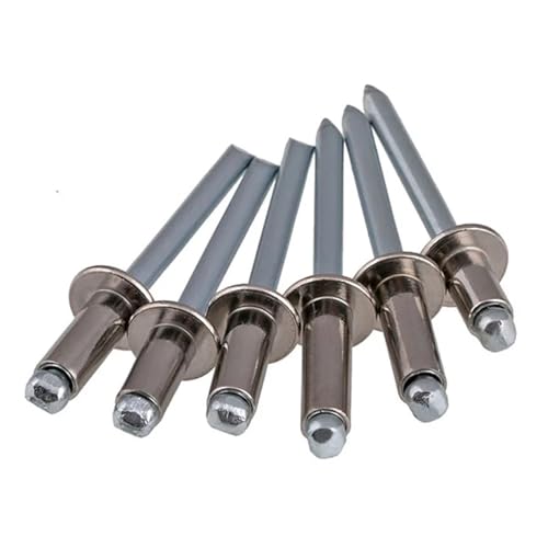 5–20 Stück 304 Edelstahl Rundkopf Pop Open Hohl Blindnieten Selbststeckende Niet Dekoration Nagel Rebite Blindniete(M3.2 (20Pcs),5mm) von jiuxinyun