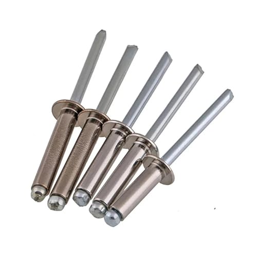 5–20 Stück 304 Edelstahl Rundkopf Pop Open Hohl Blindnieten Selbststeckende Niet Dekoration Nagel Rebite Blindniete(M6.4 (5Pcs),6mm) von jiuxinyun