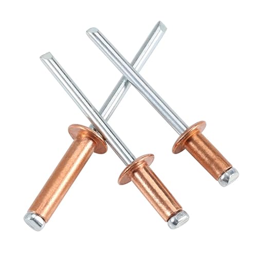 5–30 Stück Blindnieten aus Messing mit Rundkopf M2,4 M3,2 M4 M4,8, mit offenem Dornende, Bruch- und Ziehnägel for Heimwerkerarbeiten und Eisenwaren(M4x20mm(10Pcs)) von jiuxinyun