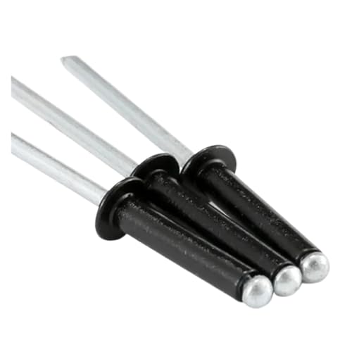Blindnieten aus Aluminium, Schwarz, M2.4, M3, M3.2, M4, M5, für Nageldekoration, M2,4 50 Stück, 4 mm(L)) von jiuxinyun
