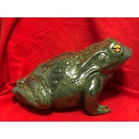 Glasierte Scioto Moulds Life Size Großer Frosch Von Jmdceramicsart von jmdceramicsart