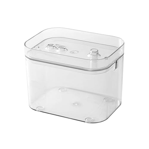 Kleines transparentes Desktop-Aquarium mit USB-Pumpen für Zuhause, Büro, Dekoration, einfache Wartung, Aquarium, Büro, Dekoration von jojnsha