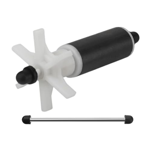 Langlebiger Stahlmagnetrotor Unterwasserpumpenkomponenten Rauschen Reduziert Ausschaltungen Allgemeine Magnetrotoren Für Heimische Starke Edelstahlrotor Langlebiger Stahlmagnetrotor Unterwasserpumpenkomponenten Rauschen Reduziert Ausschaltungen Allgemeine Magnetrotoren Für Heimische Starke Edelstahlrotor von jojnsha