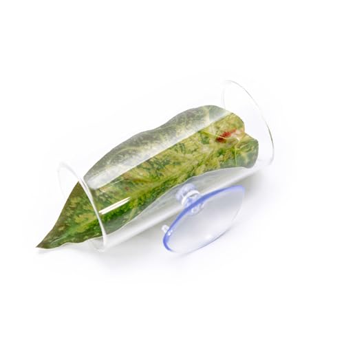 jojnsha Aquarium Dekore Pflanzen Verzierungen Farbenfrohe Wassertanks Landschaftsbau Bunte Künstliche Blätter Aussehen Aquarium Acryl Groß von jojnsha