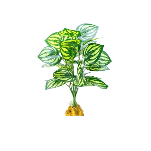 jojnsha Dekorative Pflanzenaquarien, Dekorationen, Terrarien, Aquarien, Dekoration für Eidechsen und Schlangenaquarien, Dekorationen von jojnsha