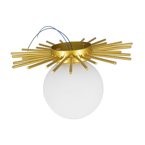 jojofuny 1Stk Domlicht Wohnkultur Metall LED Scheinwerfer Deckenstrahler kreative deckenleuchte einfache Deckenleuchte einzigartig schmücken Lampen Deckenlampe Innenbeleuchtung Glas jojofuny 1Stk Domlicht Wohnkultur Metall LED Scheinwerfer Deckenstrahler kreative deckenleuchte einfache Deckenleuchte einzigartig schmücken Lampen Deckenlampe Innenbeleuchtung Glas von jojofuny