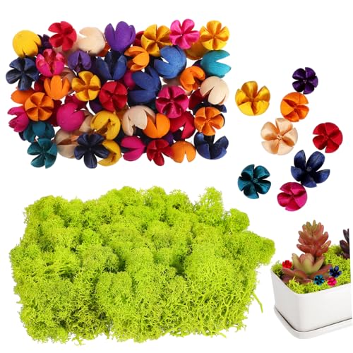 jojofuny 2 Boxen Boxen Trockenmoos Kreuzfrüchte für Terrarien und Blumentöpfe Natürliche Pflegeleichte Dekoration für Kreative Bastelprojekte und Reptilien von jojofuny