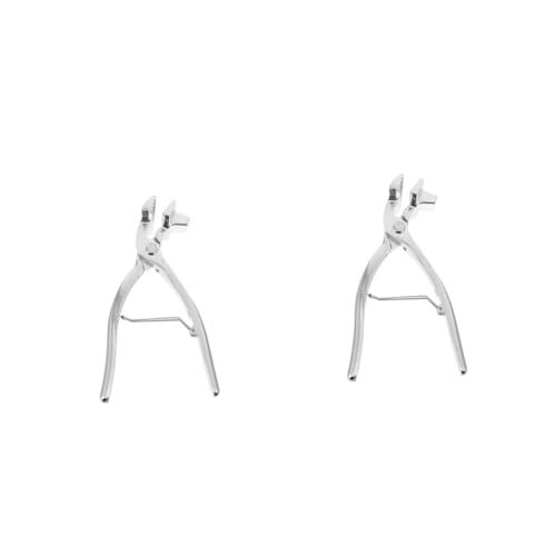 jojofuny 2 Stck. Clips für Ölgemälde Praktischer Halter für Kunstbedarf Ergonomisches Design Langlebig und Wiederverwendbar für Künstler und Bastler von jojofuny