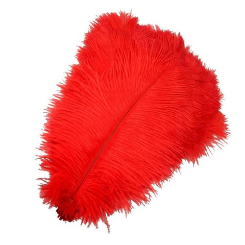 jojofuny 20 Stück Teiliges Rote Straußenfedern Natürlich Verarbeitet für Hochzeitsdekoration DIY Basteln Kostüme Partyaccessoires und Wohnraumgestaltung jojofuny 20 Stück Teiliges Rote Straußenfedern Natürlich Verarbeitet für Hochzeitsdekoration DIY Basteln Kostüme Partyaccessoires und Wohnraumgestaltung von jojofuny