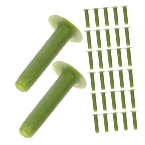 jojofuny 200stücke Blumenbeschläge Aus Kunststoff Für Blumenarrangements Klammern Und Nägel Zum Selbermachen Für DIY-blumensträuße Nagelwerkzeuge Für Künstliche Blumen jojofuny 200stücke Blumenbeschläge Aus Kunststoff Für Blumenarrangements Klammern Und Nägel Zum Selbermachen Für DIY-blumensträuße Nagelwerkzeuge Für Künstliche Blumen von jojofuny