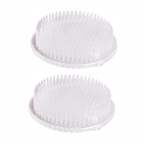 jojofuny 2Stücke Blumenanordnungshalter mit Saugnäpfen Stabiler Blumenarrangement Halter für Blumendekoration und DIY Blumenarrangements jojofuny 2Stücke Blumenanordnungshalter mit Saugnäpfen Stabiler Blumenarrangement Halter für Blumendekoration und DIY Blumenarrangements von jojofuny