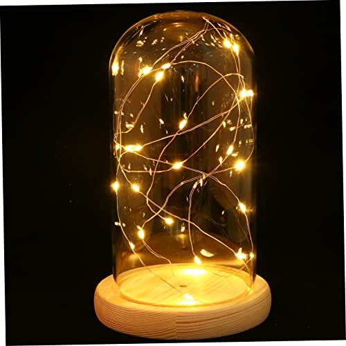jojofuny Feuerbaum-silbernes Blumen-Nachtlicht Schnapsglas mit Deckel led rot Schreibtischlampen Vase Tischlampe mit Glaskuppel Nachtlampe aus Glas Fee schmücken Nachttischlampe Holz von jojofuny