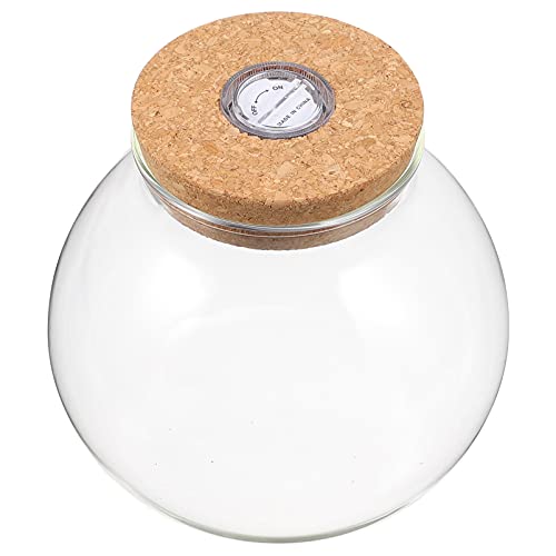 jojofuny Glas Terrarium Vase Glasvase Umweltfreundliche Flasche Gefälligkeit Flasche mit Korkdeckel und Pflanze Licht LED Terrarium für Sukkulenten Luftanlagen von Eisenmoos von jojofuny