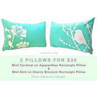 Begrenzte Zeit Verkauf 2 Mint Grüne Vogel Kissen Für 35 Us-Dollar von joom