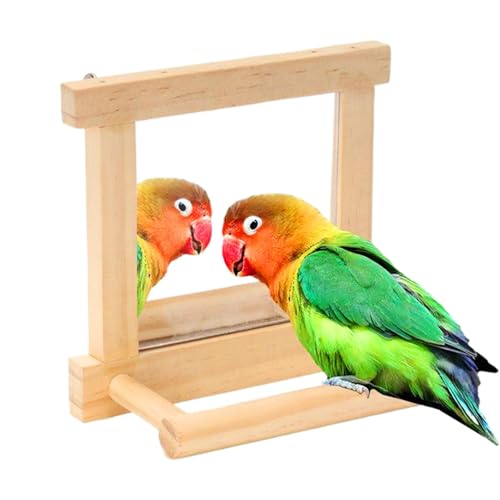 Vogelspiegel-Sitzstange – -Sitzstangen Für Käfig | Naturholz Papageienkäfigstange | Nymphensittich-Kletterspielzeug | Holzsittiche Kletteräste | Interaktive -Stangen Für Afrikanisches Grau Vogelspiegel-Sitzstange – -Sitzstangen Für Käfig | Naturholz Papageienkäfigstange | Nymphensittich-Kletterspielzeug | Holzsittiche Kletteräste | Interaktive -Stangen Für Afrikanisches Grau von jopiuieo