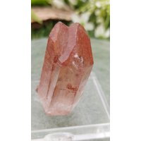Rare Rot Quarz Dendriten Mit Hämatit Oxidation Est.1968 - Von Reunion Orange River Namimbia Rare Rot Quarz Dendriten Mit Hämatit Oxidation Est.1968 - Von Reunion Orange River Namimbia von jpmineralstone