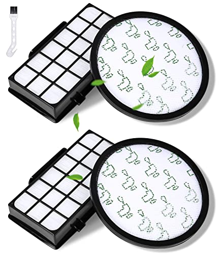 2 HEPA-Filter Set Kompatibel Rowenta Staubsauger RO6984EA RO6941EA RO6963EA RO6921EA RO6971EA RO6993EA (Modell RO69xx), Filter für Rowenta X-Trem Power Cyclonic Staubsauger, Comparer ZR006001 von jutyum