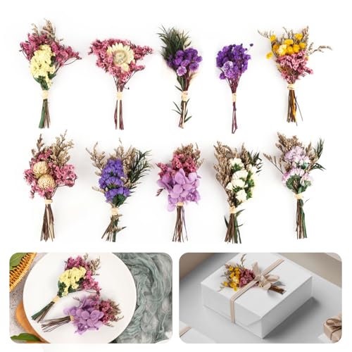 10 Bündel Trockenblumenstrauß, Bunt Trockenblumen Klein, Mini Trockenblumen zum Basteln, Ewige Getrocknete Blumen für Hochzeiten, Heimdekoration, Geschenkboxen von jwogngls