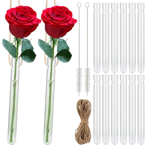 12 Stück Hängende Reagenzgläser für Blumen, Vase mit Loch Reagenzgläser, Transparent Reagenzglas Vase, Kreative Glas Reagenzglas für Haus, Büro, Hochzeit Dekoration(1.5 * 15cm) von jwogngls