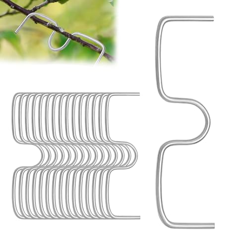 jwtyu 50 stück 10cm Astbieger für Obstbäume Astklammern für Obstbäume Astklammer aus Metall M Type Zweigspreizer zum Spannen und Ausrichten von Obstbaum Zweigen von jwtyu